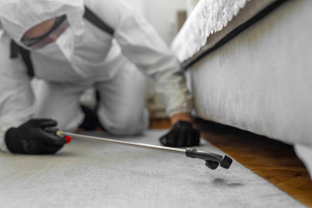 Professional Pest Control technician working in Wildwood Crest, NJ