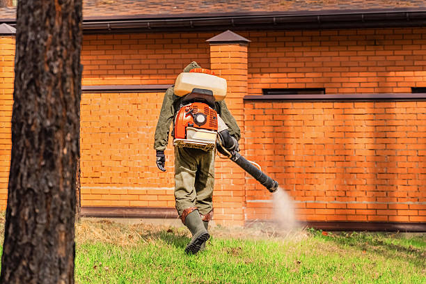 Trusted Ant Control service in Wildwood Crest, NJ - Nex Pest Control